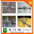 Alibaba galvanized barbed wire/barbed wire font/barbed wire for sale